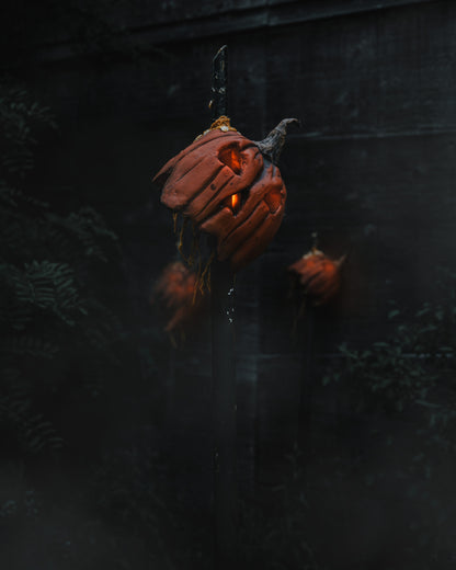 Gored Gourd (2)