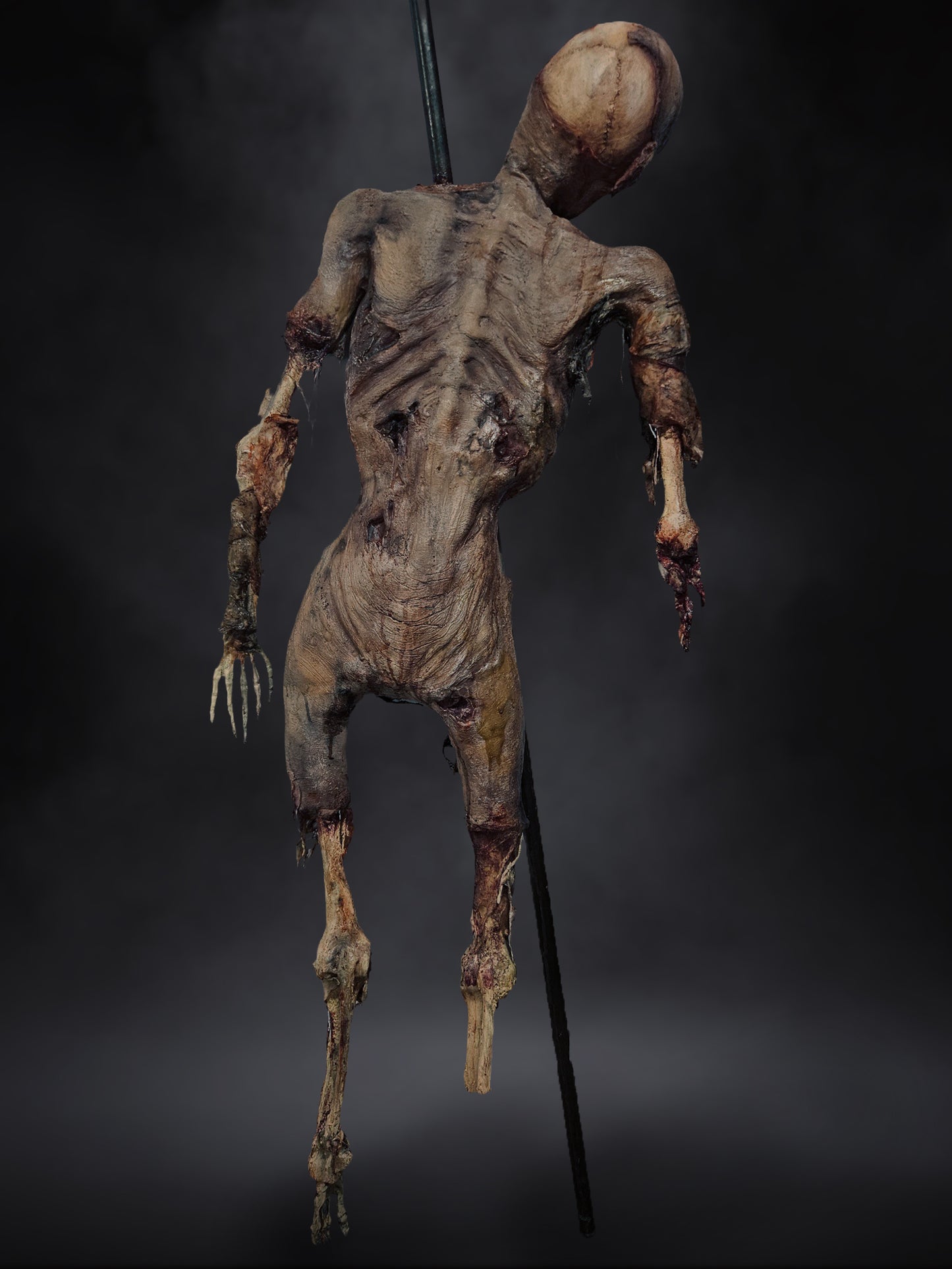Rot
