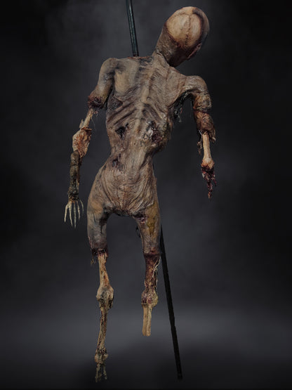 Rot