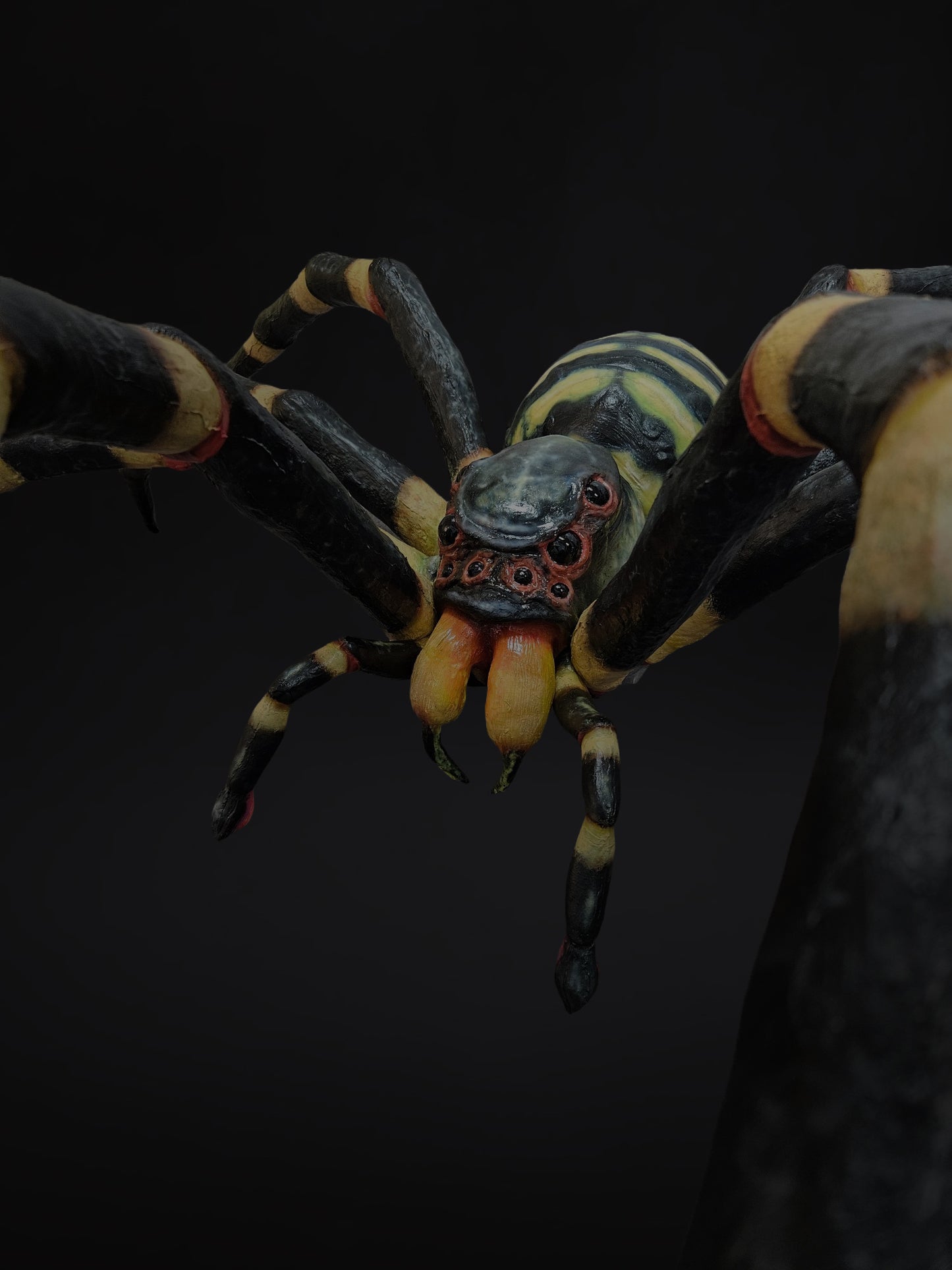 Arachnid