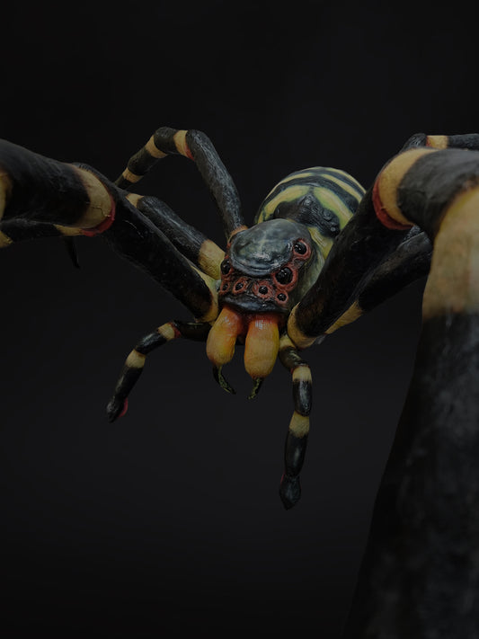Arachnid