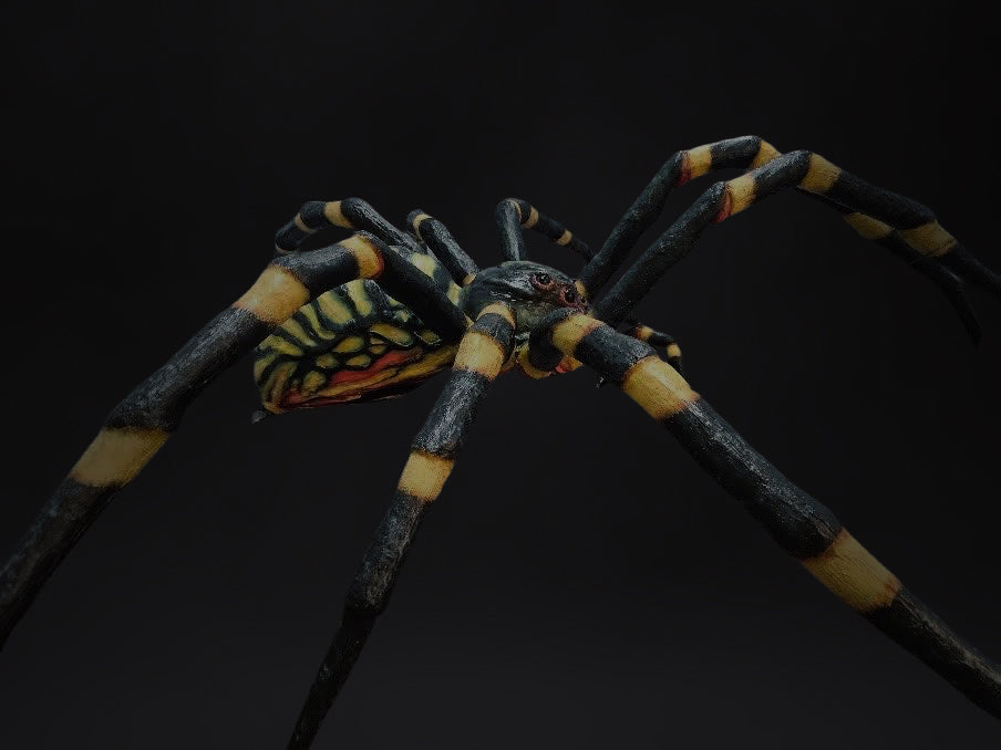 Arachnid