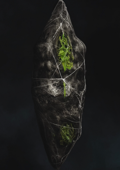 Toxic Egg Sac - Extra Large